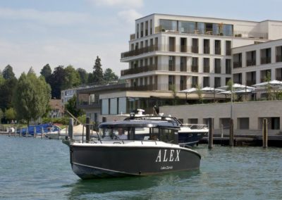Alex Lake Zürich Luxury Hotel (Цюрих)